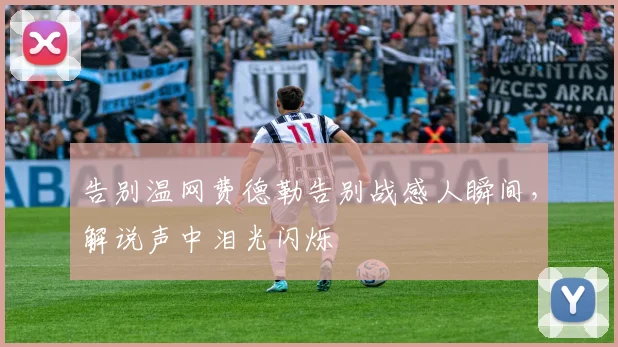 告别温网费德勒告别战感人瞬间,解说声中泪光闪烁