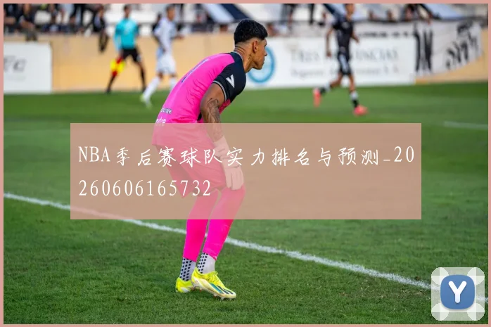 NBA季后赛球队实力排名与预测_20260606165732